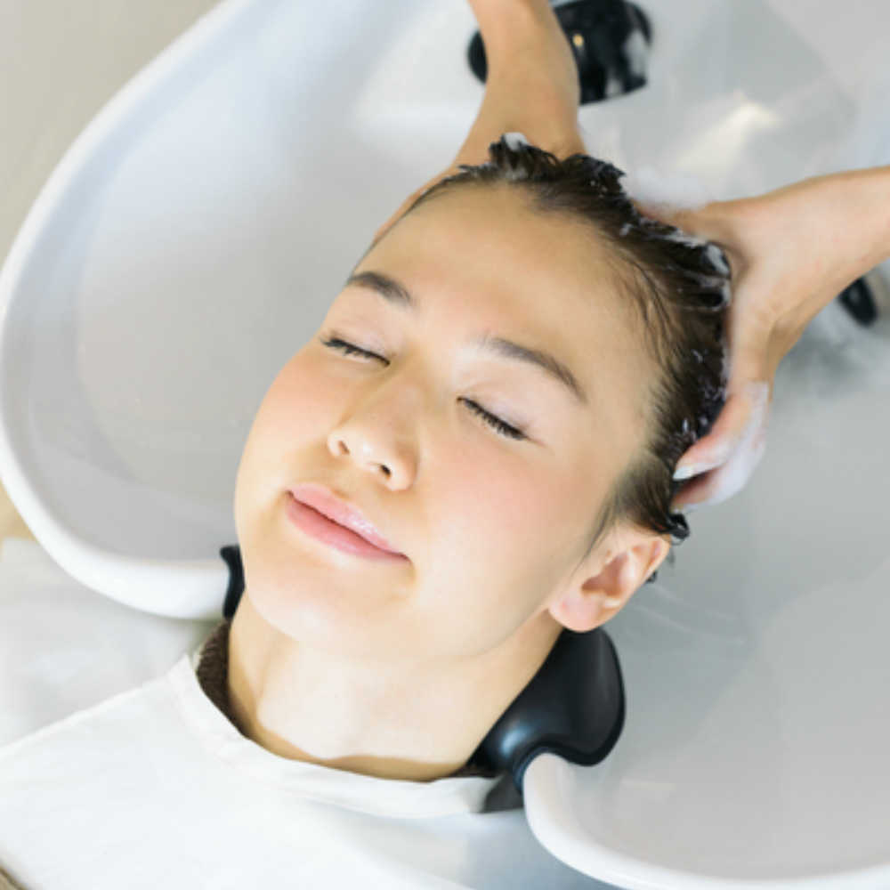 シャンプー中の画像